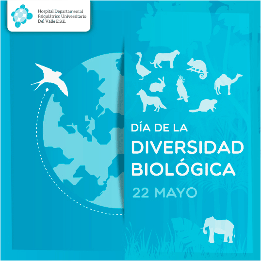 Día Internacional de Acción por la Salud de las Mujeres